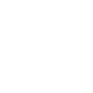 <strong>SENIOR-LEVEL EXPERTISE</strong>