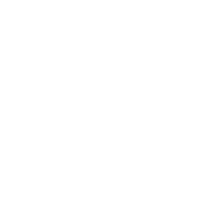 <strong>STRATEGIC SOLUTIONS</strong>